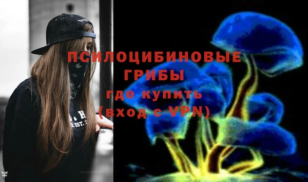 сатива Армянск