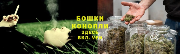сатива Армянск