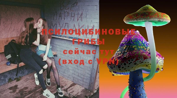 дживик Аркадак