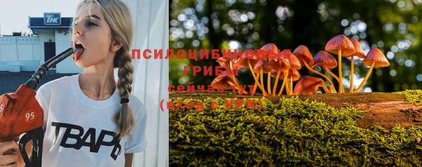 дживик Аркадак