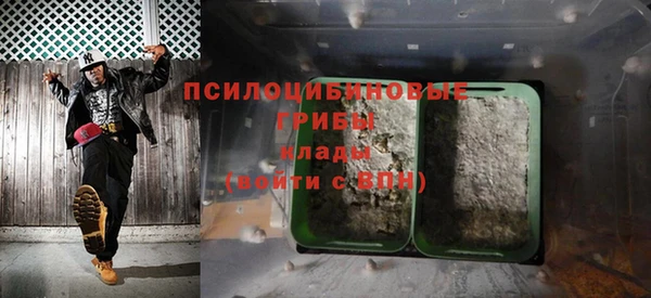 дживик Аркадак
