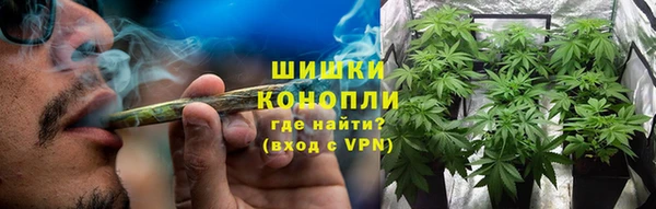 сатива Армянск
