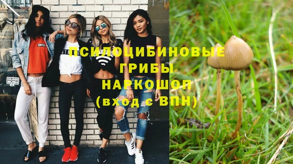 сатива Армянск