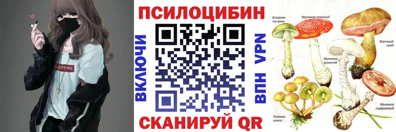 Псилоцибиновые грибы Cubensis  Талдом 